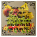 Suche nach frucht fliesen Bäume