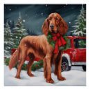 Suche nach irish setter poster Weihnachtsgeschenk für hunde