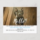 Suche nach katzen flyer Marketing