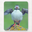 Suche nach lustiger vogel mousepads Wild lebende tiere
