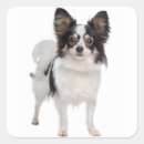 Suche nach papillon aufkleber Papillen