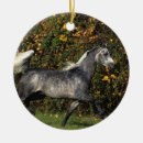 Suche nach arab ornamente Bob langrish