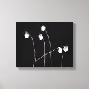 Suche nach weiße rose poster leinwandbilder Botanisch