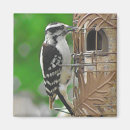 Suche nach birdhouse magnete Niedlich