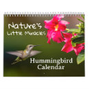Suche nach kolibris kalender Vögel