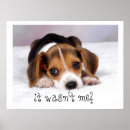 Suche nach cute puppy poster Dog