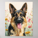 Suche nach german shepherd poster Schäfer