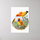 Suche nach schwarze federn leinwandbilder Natur