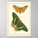 Suche nach leicht poster Natur