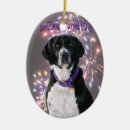 Suche nach englischer springer spaniel ornamente Welpe
