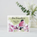 Suche nach rosa kirschblüten postkarten Jede person