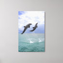 Suche nach delfin leinwandbilder Tier
