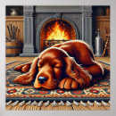 Suche nach irish setter poster Welpe