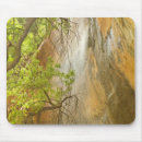 Suche nach idyllisch mousepads Usa