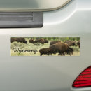 Suche nach bison autoaufkleber Tierwelt