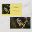 Suche nach singvogel visitenkarten Wildvogel