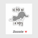 Suche nach katze memes aufkleber Kätzchen