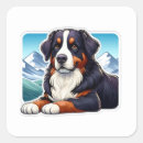 Suche nach bernese mountain dog aufkleber Niedlich