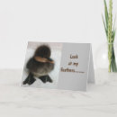 Suche nach komische karten Jede person