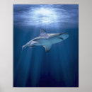 Suche nach haifische poster Blau
