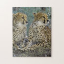Suche nach gepard puzzle Natur