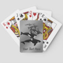 Suche nach orca wale spiele Meeresleben
