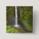 Suche nach insel buttons Usa