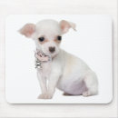 Suche nach chihuahua hund mousepads Liebe
