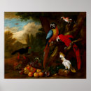 Suche nach obst poster Vögel