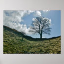 Suche nach lücke poster Baum