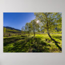 Suche nach weide poster Grün