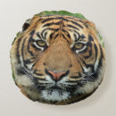 Suche nach tiger foto kissen Tiere