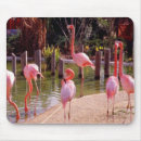 Suche nach menge mousepads Flamingos