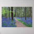 Suche nach wildflower painting poster Landscape