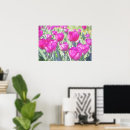 Suche nach tulips poster Rosa