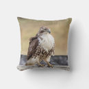 Suche nach falken kissen Wild lebende tiere