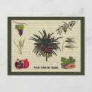 Suche nach sieben postkarten Jede person