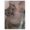 Suche nach blaue augen klemmbrett Niedlich