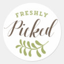 Suche nach bio gemüse aufkleber Biologisch