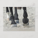 Suche nach freier läufer postkarten Laufen