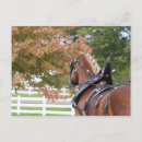 Suche nach reitsport postkarten Bauernhof