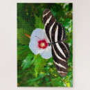 Suche nach bestäubung puzzle Blume
