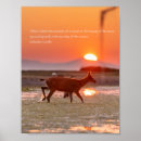 Suche nach gandhi zitate poster Sonnenuntergang