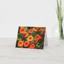 Suche nach orange blumen alle karten Jede person