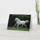 Suche nach mahn karten Rasse