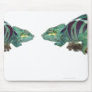 Suche nach chamäleon mousepads Tiere
