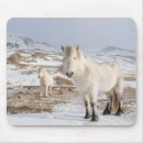 Suche nach isländisches pferd mousepads Martin zwick