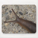 Suche nach schnecke mousepads Für alle