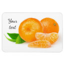 Suche nach orange scheibe magnete Mandarine