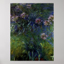 Suche nach agapanthus poster Impressionismus